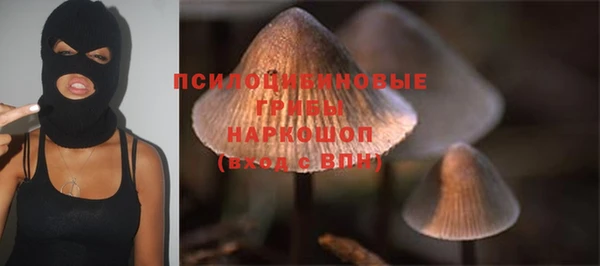 2c-b Зеленокумск