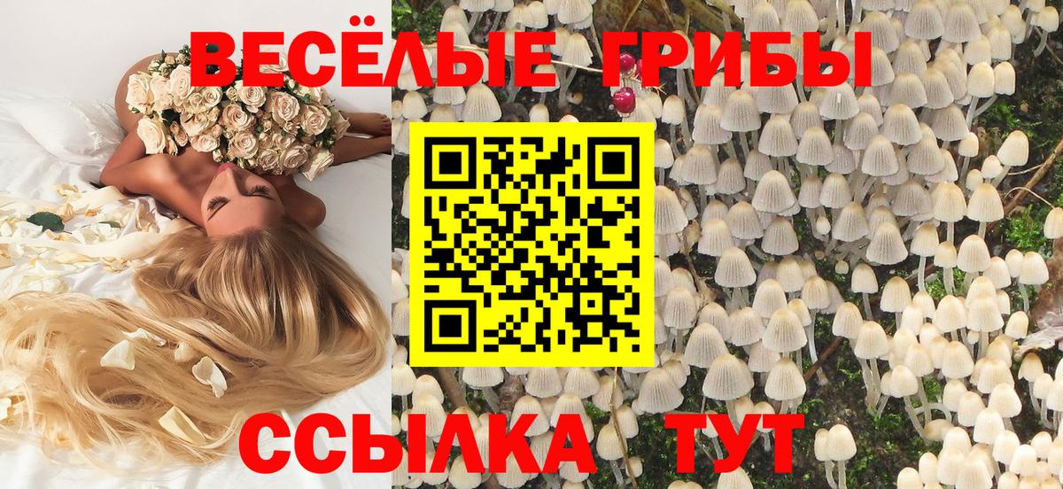 Галлюциногенные грибы GOLDEN TEACHER Топки
