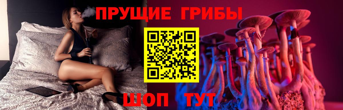 Топки  закладка  Вход с VPN  Псилоцибиновые грибы Psilocybine cubensis  Галлюциногенные грибы GOLDEN TEACHER 